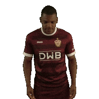 Zeigen Sticker by BFC Dynamo