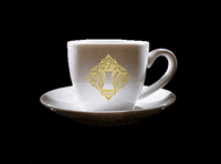 Адакондэ GIF by Ada Conde LTD
