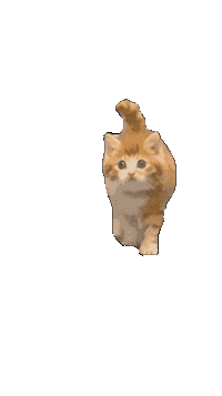 Red Cat Sticker by De Graafschap Dierenartsen