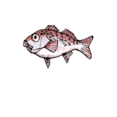 yasuokakamaboko giphygifmaker 安岡蒲鉾 ハランボ ホタルジャコ Sticker