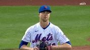 New York Mets Baseball GIF by SNY