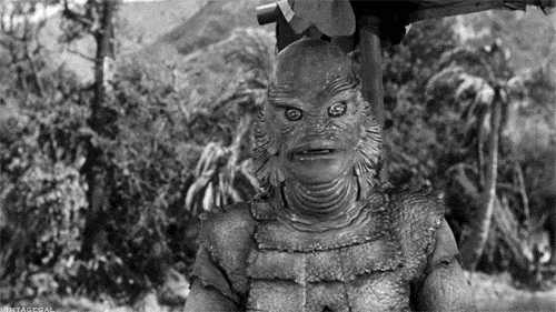 creature from the black lagoon GIF