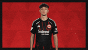 Eintracht Frankfurt What GIF by Bundesliga
