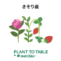 amwayjapan nutrilite 星座 ニュートリライト plant to table Sticker