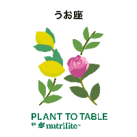 amwayjapan nutrilite 星座 ニュートリライト plant to table Sticker