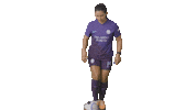 Orlando Pride Sport Sticker by National Women's Soccer League