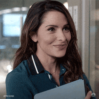 sarah shahi smile GIF by NBC