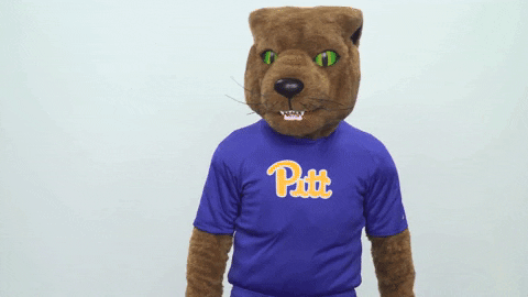 celebrate lets go GIF by Pitt Panthers