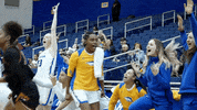 Basketball GIF by Hofstra Pride