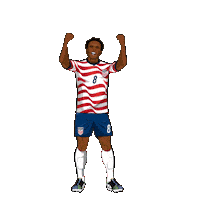 World Cup Football Sticker by Panini America
