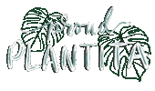 Calligraphy Monstera Sticker