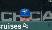 Observing Blue Jays GIF by Toronto Blue Jays