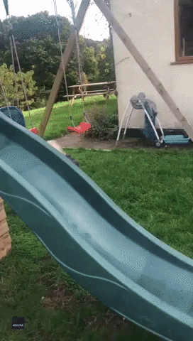 Toddler and Puppy Share Adorable Bond as They Take Turns on Slide