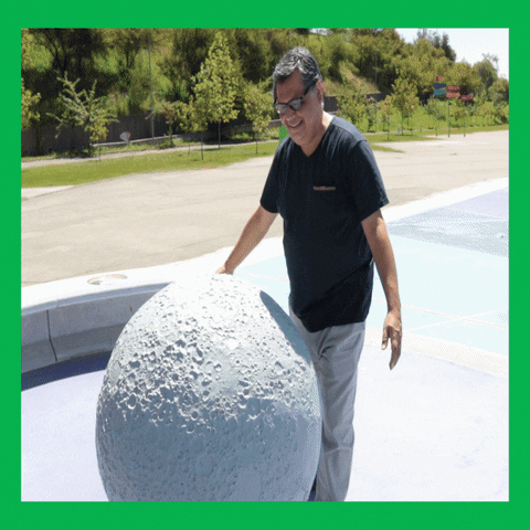 MIM-museo giphyupload GIF