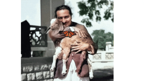 angelaleechen giphyupload GIF