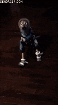 Winter Dogs GIF