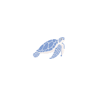 Sea Turtle Sticker by Kyte Baby
