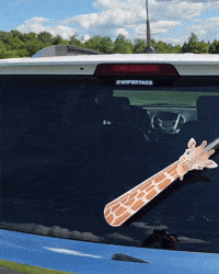 Giraffe Giraffewiper GIF by WiperTags Wiper Covers