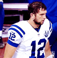 Indianapolis Colts GIF by NFL