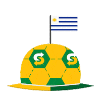 futbol auf Sticker by Subway Colombia