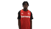 Bayer Leverkusen Wink Sticker by Bundesliga