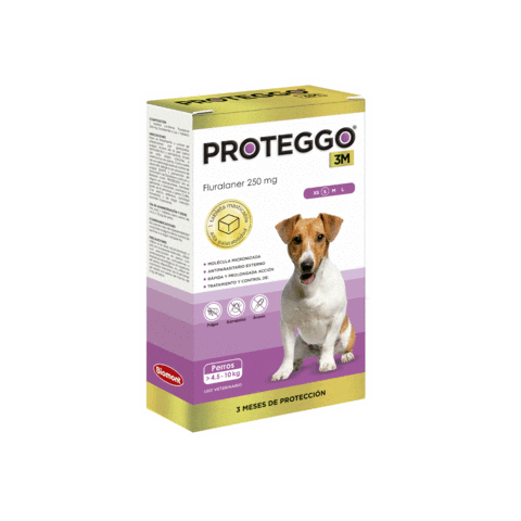 Perro Sticker by Laboratorios Biomont