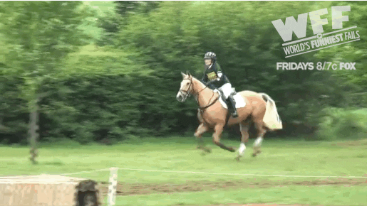 worlds funniest fails GIF by Fox TV