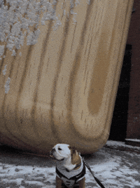 Happy Butler Bulldogs GIF by Butler University