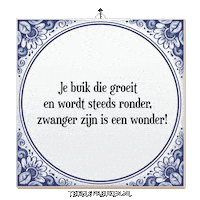 Humor Wonder Sticker by Tegelspreuken.nl
