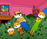 Fun Crypto GIF by Baby Doge Coin