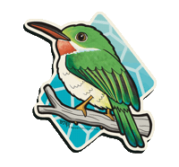 Sticker Frog Sticker
