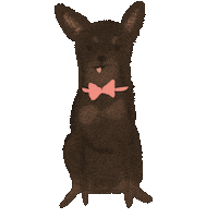 Chihuahua Cyrus Sticker by Andrea Caceres