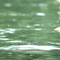 Mohanlal Lalettan GIF