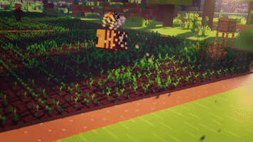 Bees Pollinating