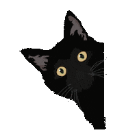 Cat Fashion Sticker