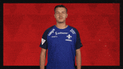 Sv Darmstadt 98 Football GIF by Bundesliga