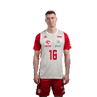 Semeniuk Sticker by Polska Siatkowka