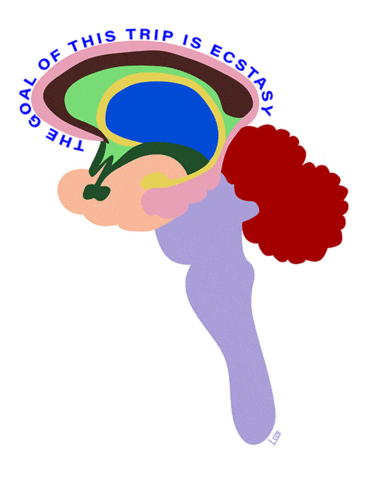 Happy Brain Sticker by LS528
