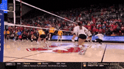 GIF by Stanford Athletics
