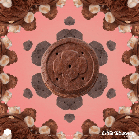 Girl Scout Cookies GIF by Little Brownie Bakers