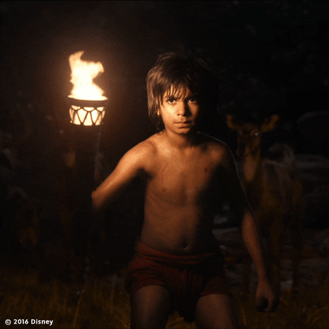 The Jungle Book GIF by Disney