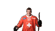 Celebrate National Team Sticker by Swiss Ice Hockey