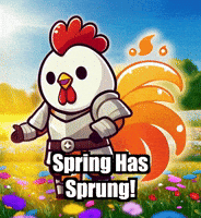 Flowers Spring GIF by Zorooster