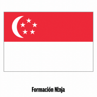 Singapore Flag GIF by Formación Ninja
