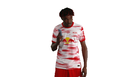 Hey You Hello Sticker by RB Leipzig