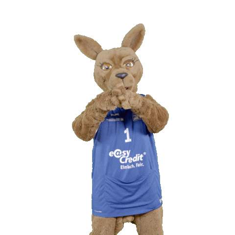 social-media-easycredit giphyupload basketball herz easycredit Sticker