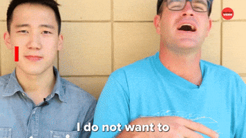 I Dough-Not Want Anymore Donuts