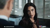 Episode 7 Nbc GIF by Law & Order