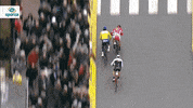 GIF by Sporza