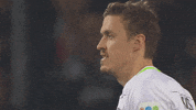 sv werder bremen bundesliga GIF